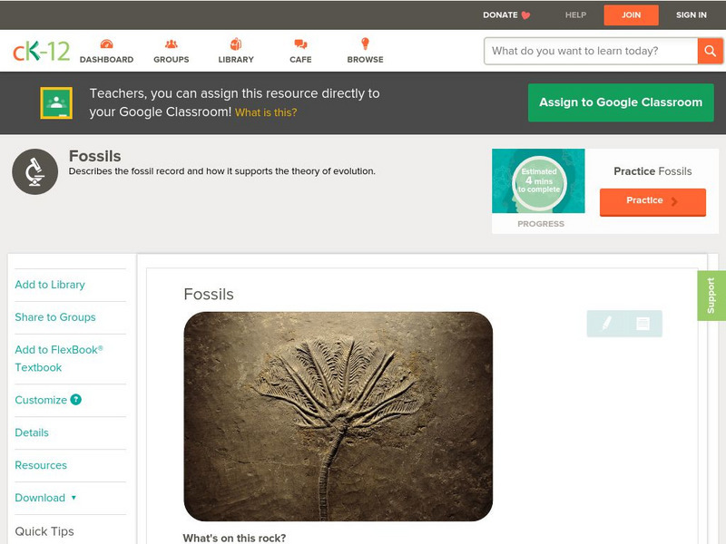 Ck 12: Life Science: Fossils Unit Plan Ck 12: Life Science: Fossils Unit Plan