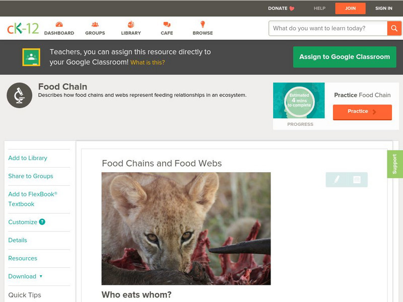 Ck 12: Biology: Food Chains and Food Webs Unit Plan