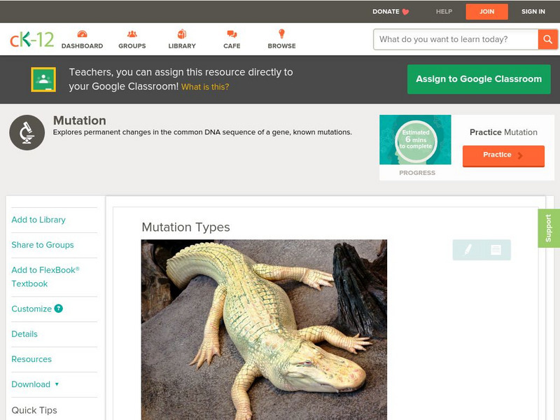 Ck 12: Biology: Mutation Types Unit Plan
