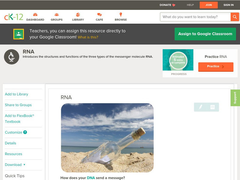 Ck 12: Life Science: Rna Unit Plan