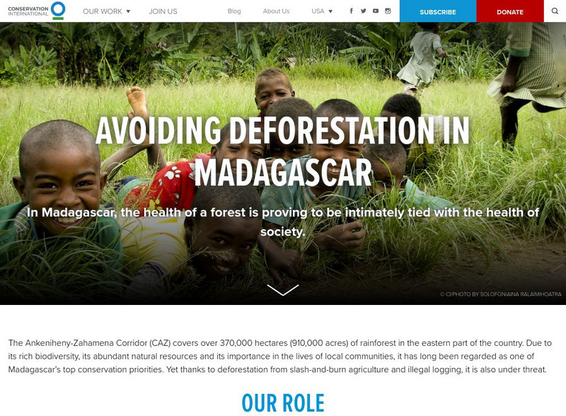 Conservation International: Avoiding Deforestation in Madagascar Website Conservation International: Avoiding Deforestation in Madagascar Website
