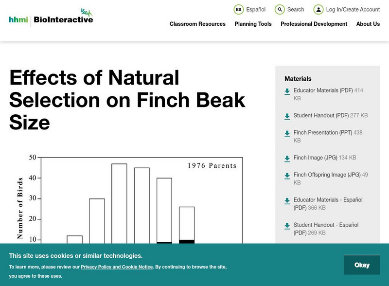 Hhmi: Bio Interactive: Effects of Natural Selection on Finch Beak Size Lesson Plan Hhmi: Bio Interactive: Effects of Natural Selection on Finch Beak Size Lesson Plan