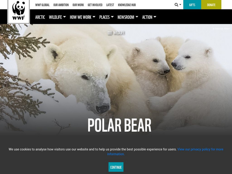 World Wildlife Fund: Polar Bears Website