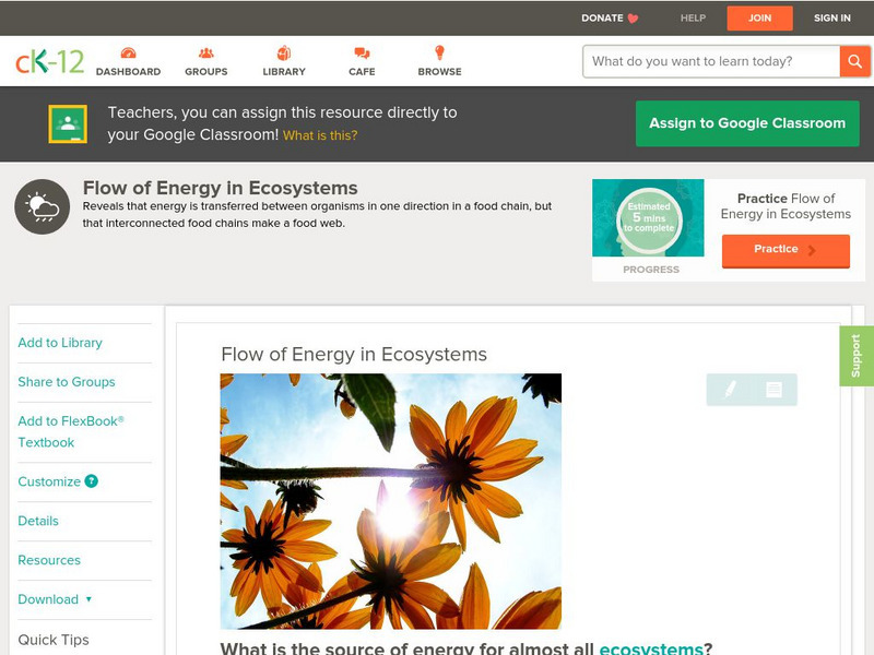 Ck 12: Earth Science: Flow of Energy in Ecosystems Unit Plan Ck 12: Earth Science: Flow of Energy in Ecosystems Unit Plan
