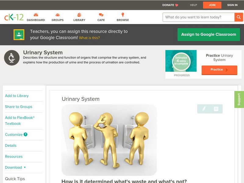 Ck 12: Biology: Urinary System Unit Plan Ck 12: Biology: Urinary System Unit Plan