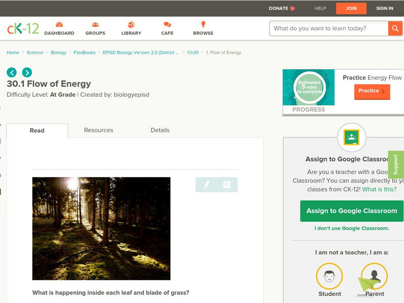 Ck 12: Episd Biology: Flow of Energy Unit Plan Ck 12: Episd Biology: Flow of Energy Unit Plan