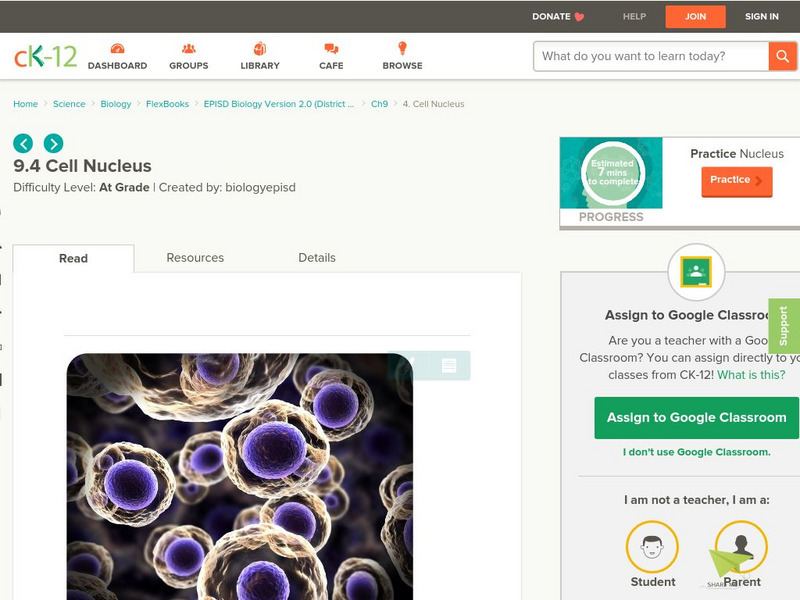 Ck 12: Cell Nucleus Activity Ck 12: Cell Nucleus Activity