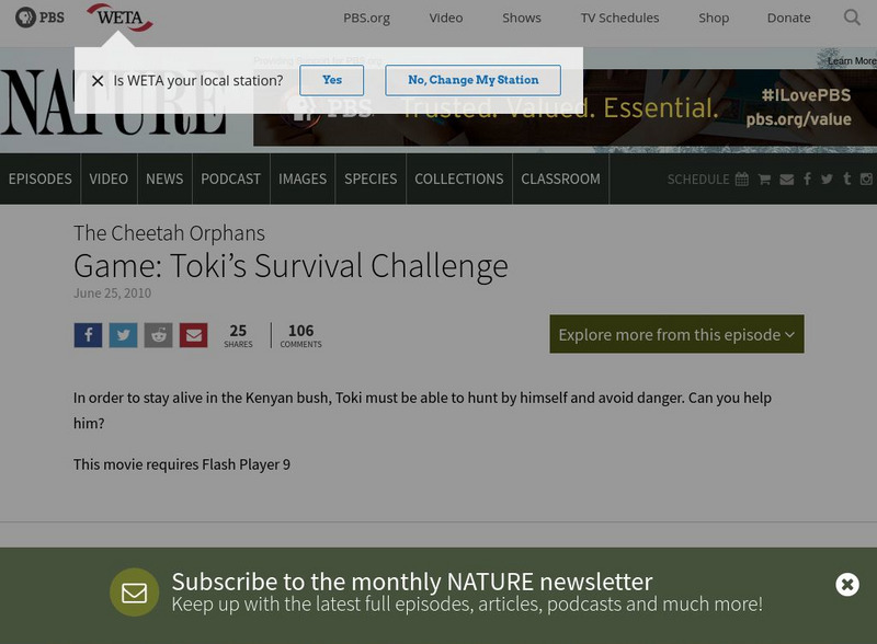 Pbs: Nature: Interactive Game: Toki's Survival Challenge Website
