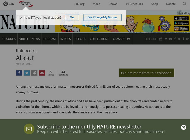 Pbs: Nature: Rhinoceros Website Pbs: Nature: Rhinoceros Website