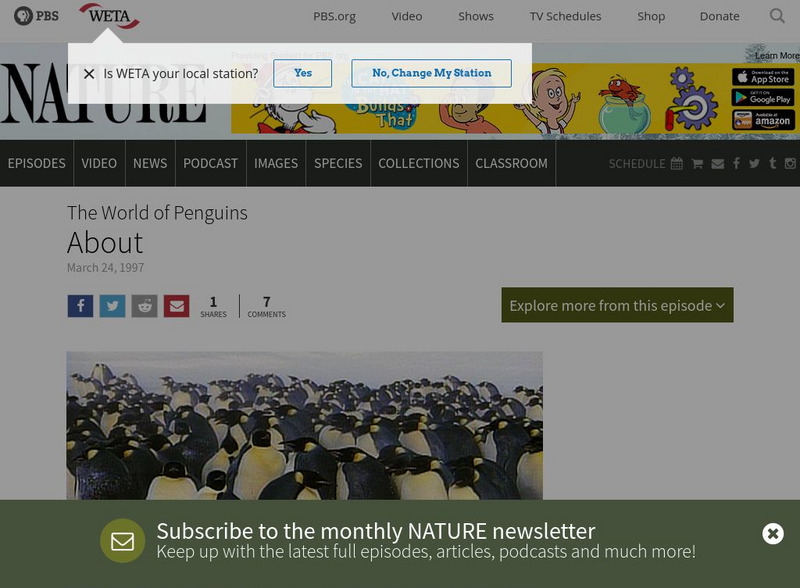 Pbs: Nature: The World of Penguins Website Pbs: Nature: The World of Penguins Website