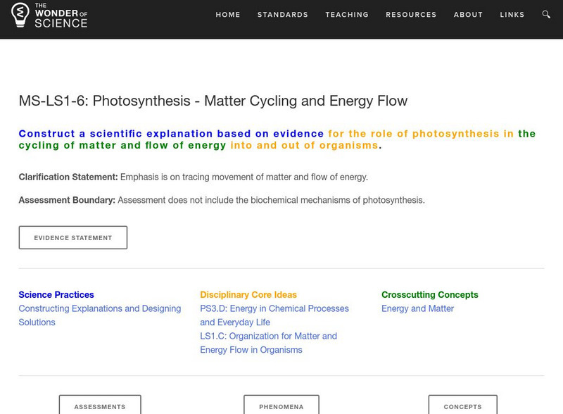 The Wonder of Science: Ms Ls1 6: Photosynthesis Matter Cycling and Energy Flow Lesson Plan The Wonder of Science: Ms Ls1 6: Photosynthesis Matter Cycling and Energy Flow Lesson Plan