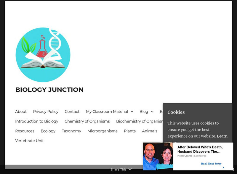 Massengale's Biology Junction: Cell Functions Graphic Massengale's Biology Junction: Cell Functions Graphic