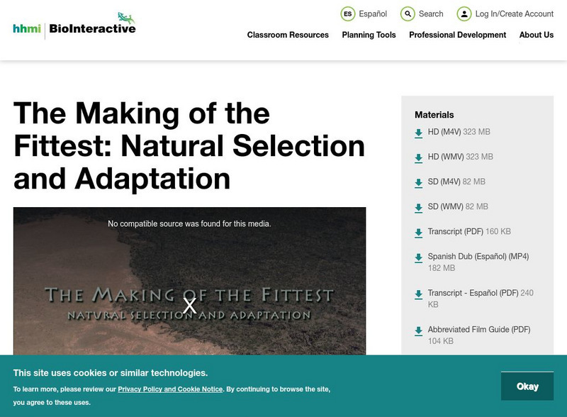 Hhmi: Bio Interactive: Natural Selection Adaptation Instructional Video Hhmi: Bio Interactive: Natural Selection Adaptation Instructional Video