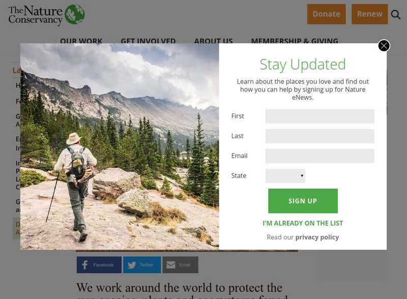 Nature Conservancy: Planet Earth: Deserts Website Nature Conservancy: Planet Earth: Deserts Website