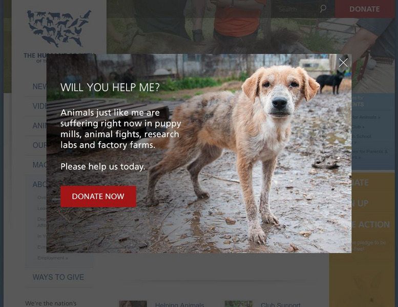 Humane Society: Humane Teen Website Humane Society: Humane Teen Website