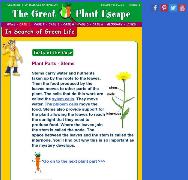 University of Illinois Extension: Plant Parts: Stems Website University of Illinois Extension: Plant Parts: Stems Website