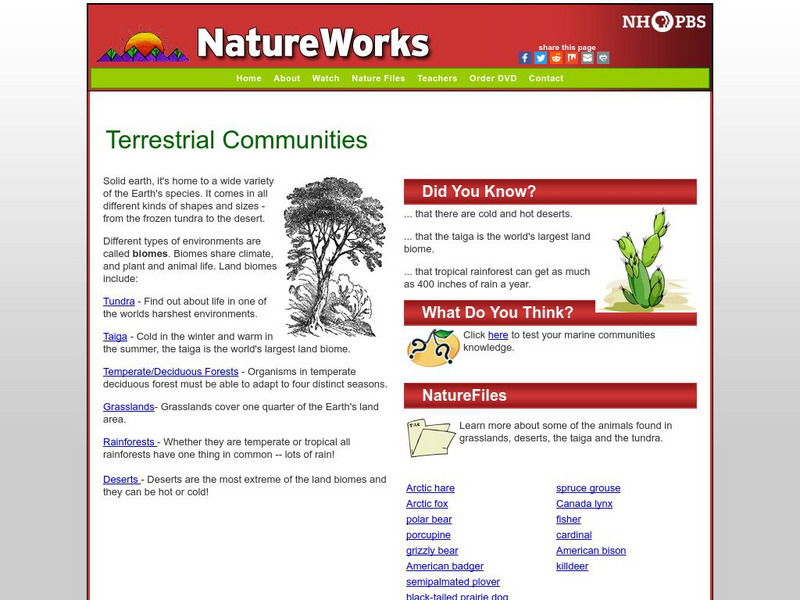 Nh Pbs: Nature Works: Terrestrial Communities Handout Nh Pbs: Nature Works: Terrestrial Communities Handout