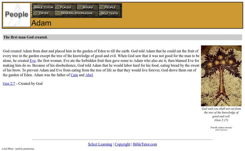 Bible Tutor: Adam Handout Bible Tutor: Adam Handout