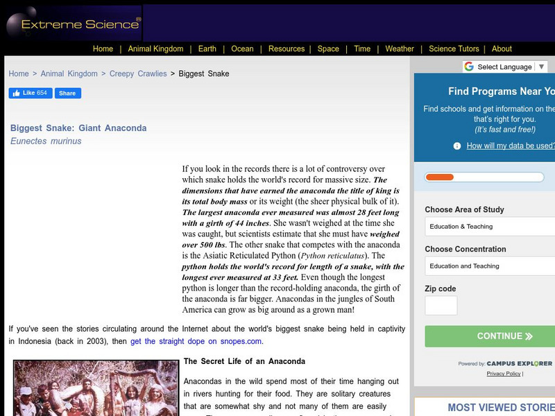 Extreme Science: Biggest Snake: Anaconda Website Extreme Science: Biggest Snake: Anaconda Website