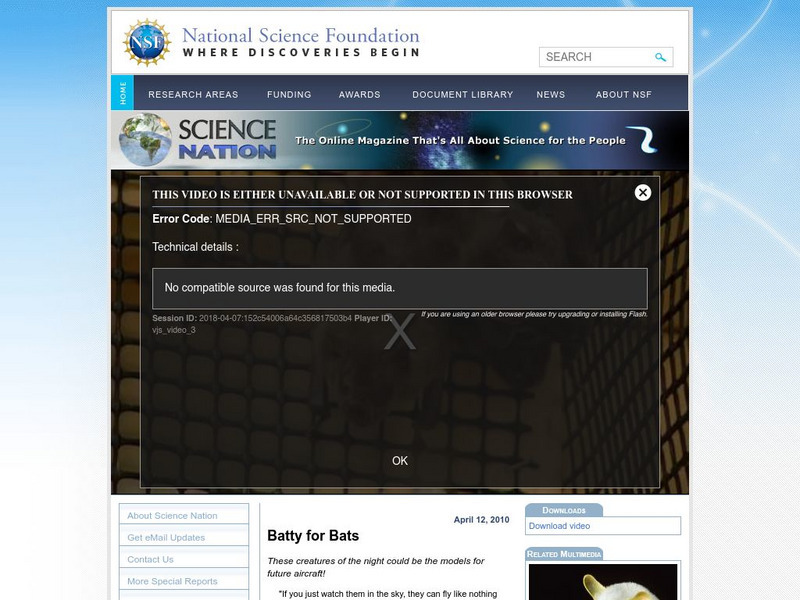 National Science Foundation: Batty for Bats Instructional Video National Science Foundation: Batty for Bats Instructional Video