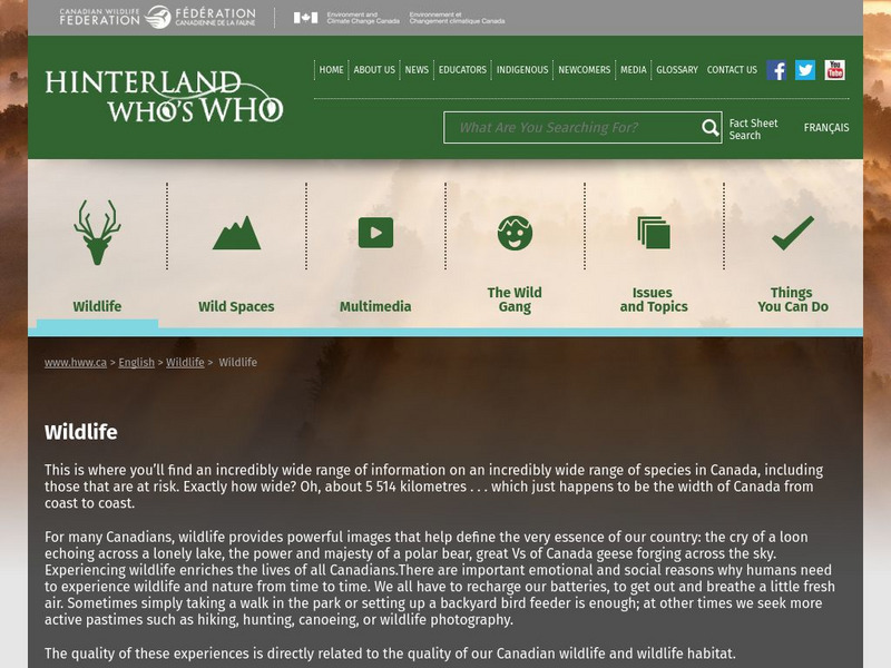 Hinterland Who's Who: Wildlife Handout Hinterland Who's Who: Wildlife Handout