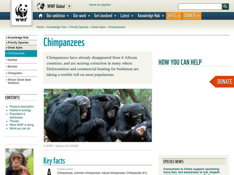 World Wildlife Fund: Chimpanzee Handout World Wildlife Fund: Chimpanzee Handout