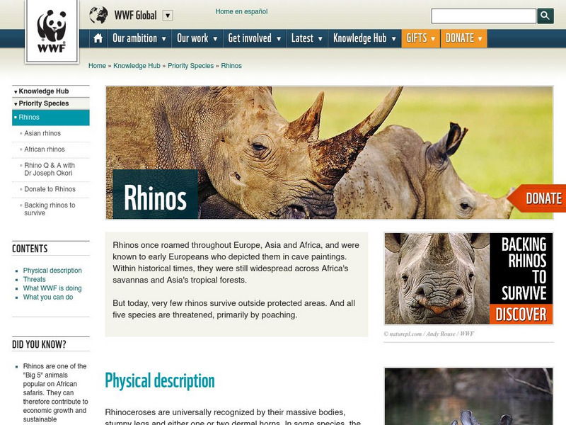 World Wildlife Fund: Rhinoceros Introduction Website World Wildlife Fund: Rhinoceros Introduction Website