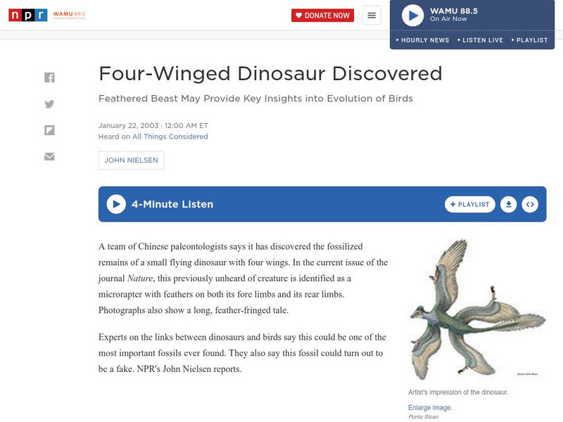 Npr: Four Winged Dinosaur Discovered Audio Npr: Four Winged Dinosaur Discovered Audio