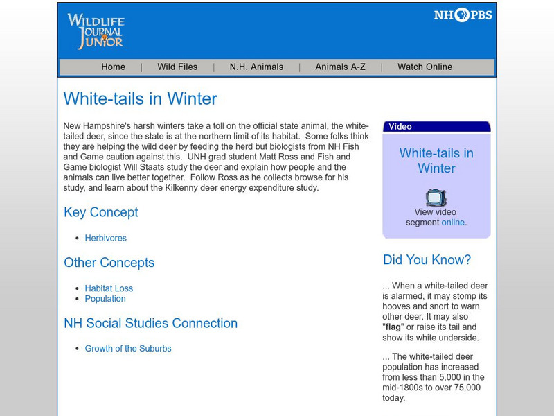 Nh Pbs: Wildlife Journal Jr: White Tails in Winter Unit Plan Nh Pbs: Wildlife Journal Jr: White Tails in Winter Unit Plan
