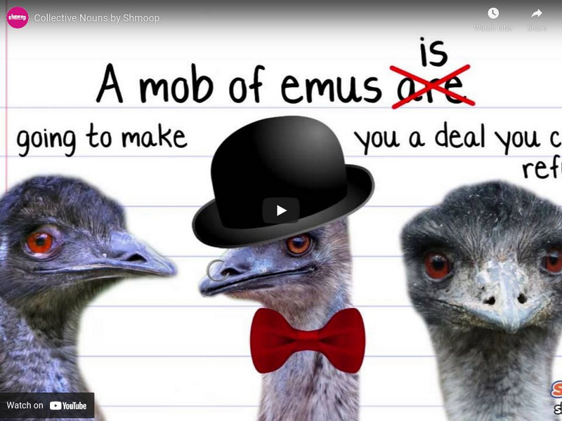 Shmoop: Collective Nouns Instructional Video Shmoop: Collective Nouns Instructional Video