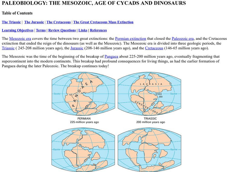 Online Biology Book: Paleobiology: The Mesozoic, Age of Cyads and Dinosaurs Website