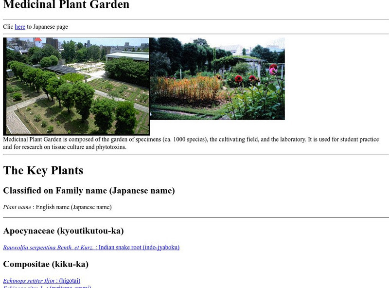Kumamoto University: Medicinal Plant Garden Website Kumamoto University: Medicinal Plant Garden Website