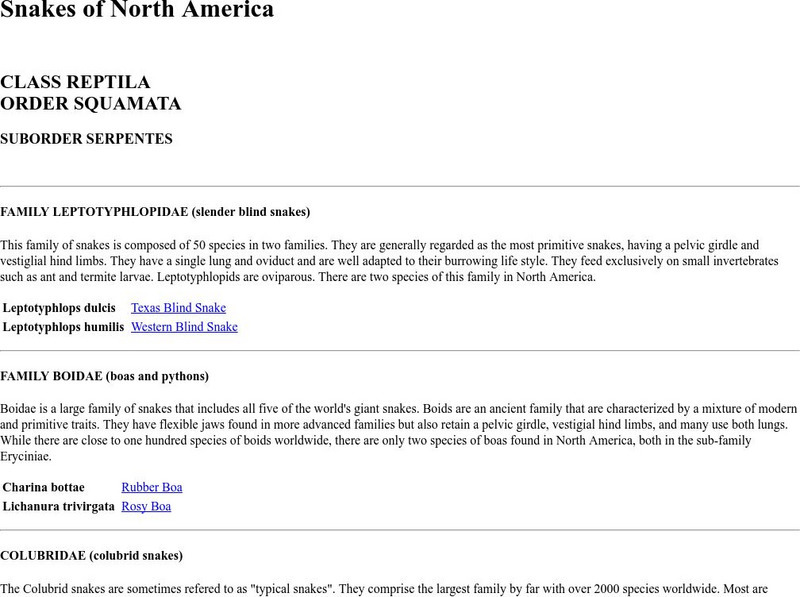 Martin Schmidt: Snakes of North America Handout Martin Schmidt: Snakes of North America Handout