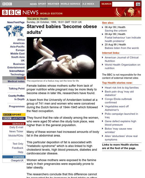 Bbc News: Starved Babies Become Obese Adults Website