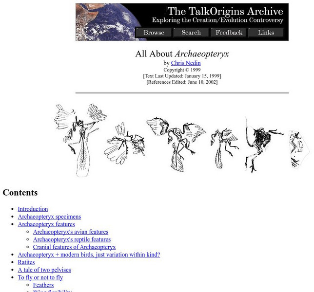 Talk Origins: All About Archaeopteryx Handout Talk Origins: All About Archaeopteryx Handout