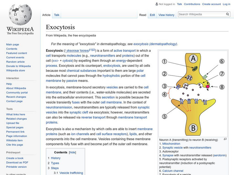 Wikipedia: Exocytosis Handout Wikipedia: Exocytosis Handout