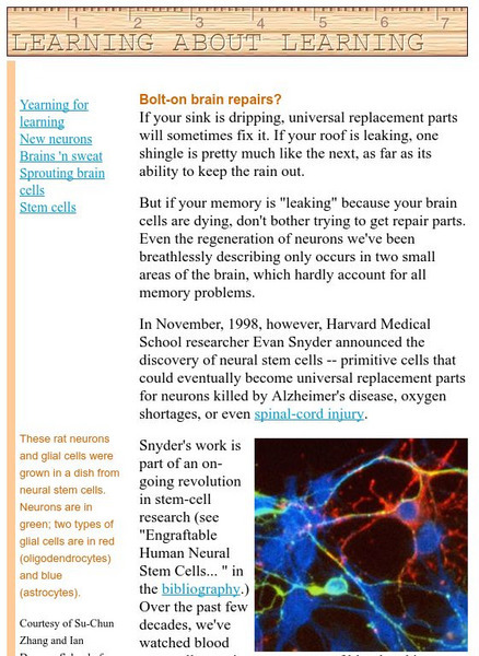 The Why Files: Bolt on Brain Repairs Handout The Why Files: Bolt on Brain Repairs Handout