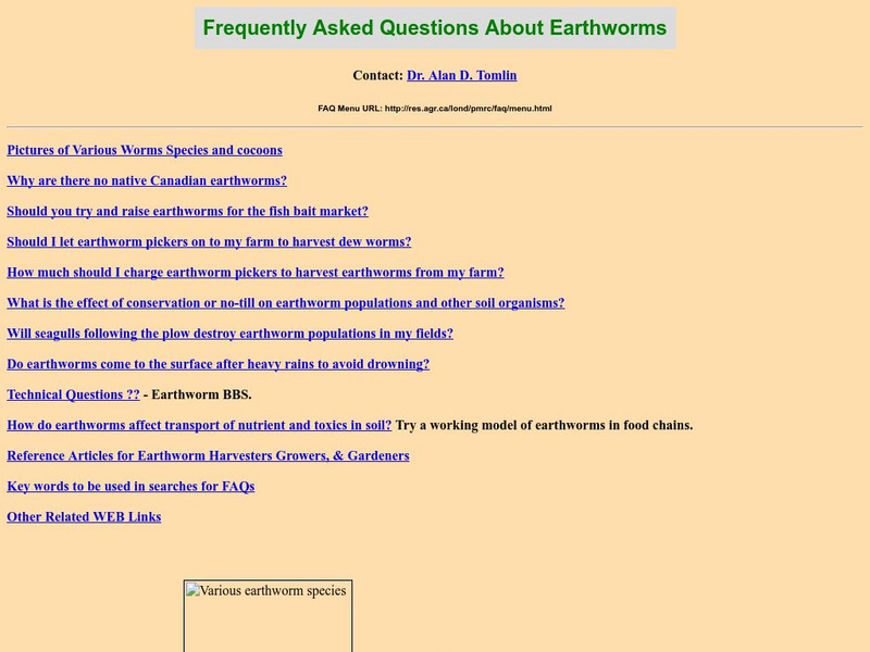 Ibiblio: Frequently Asked Questions About Earthworms Activity