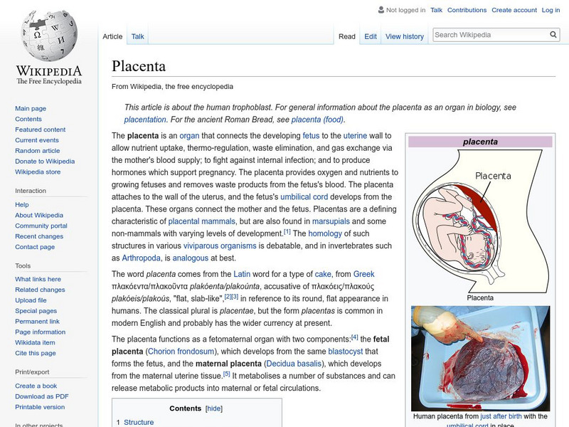 Wikipedia: Placenta Handout Wikipedia: Placenta Handout