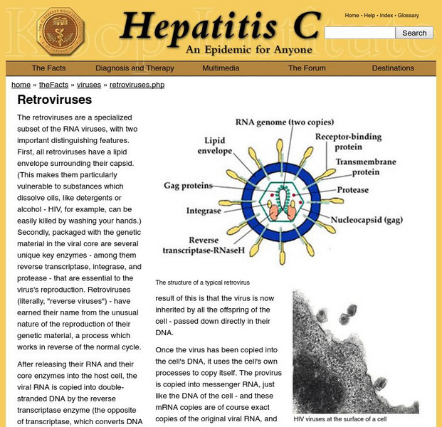 Dartmouth College: Retroviruses Handout Dartmouth College: Retroviruses Handout