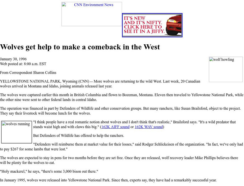 Cnn: Wolves Get Help to Make a Comeback in the West Article Cnn: Wolves Get Help to Make a Comeback in the West Article