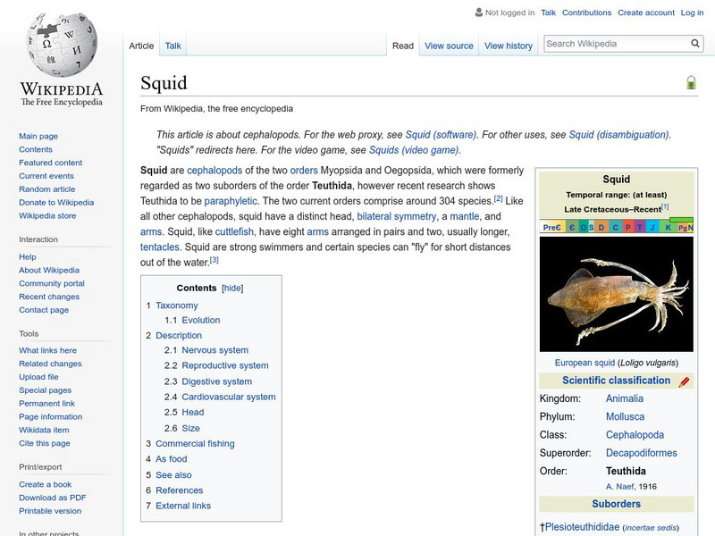 Wikipedia: Squid Handout Wikipedia: Squid Handout