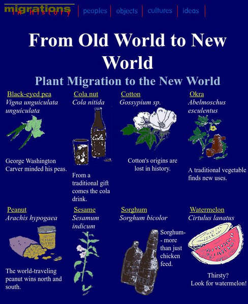 Smithsonian Education: From Old World to New World Website Smithsonian Education: From Old World to New World Website