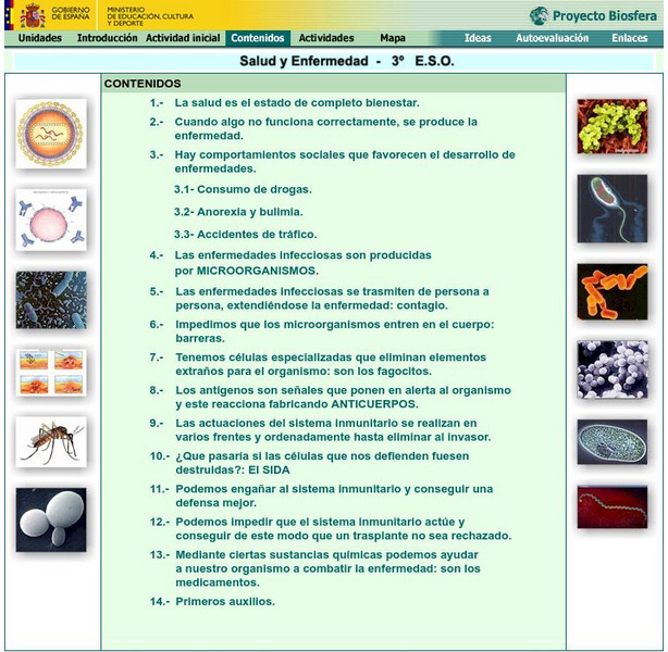 Ministerio De Educacion: Salud Y Enfermedad Lesson Plan Ministerio De Educacion: Salud Y Enfermedad Lesson Plan