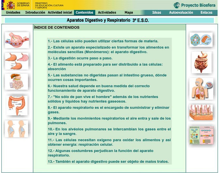 Ministerio De Educacion: Aparatos Digestivo Y Respiratorio Interactive Ministerio De Educacion: Aparatos Digestivo Y Respiratorio Interactive