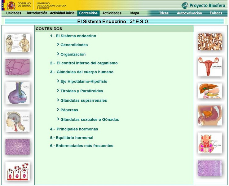 Ministerio De Educacion: El Sistema Endocrino Interactive Ministerio De Educacion: El Sistema Endocrino Interactive