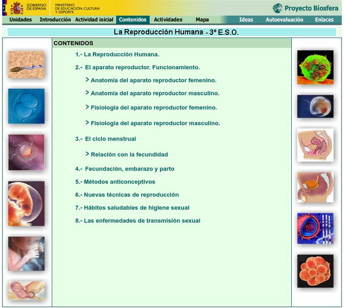 Ministerio De Educacion: La Reproduction Humana Activity Ministerio De Educacion: La Reproduction Humana Activity