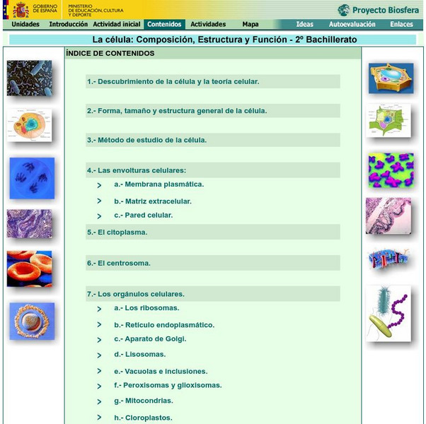 Ministerio De Educacion: La Celula 2 Bachillerato Lesson Plan Ministerio De Educacion: La Celula 2 Bachillerato Lesson Plan