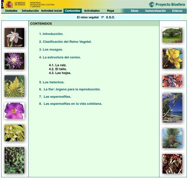 Ministerio De Educacion: El Reino Vegetal Handout Ministerio De Educacion: El Reino Vegetal Handout