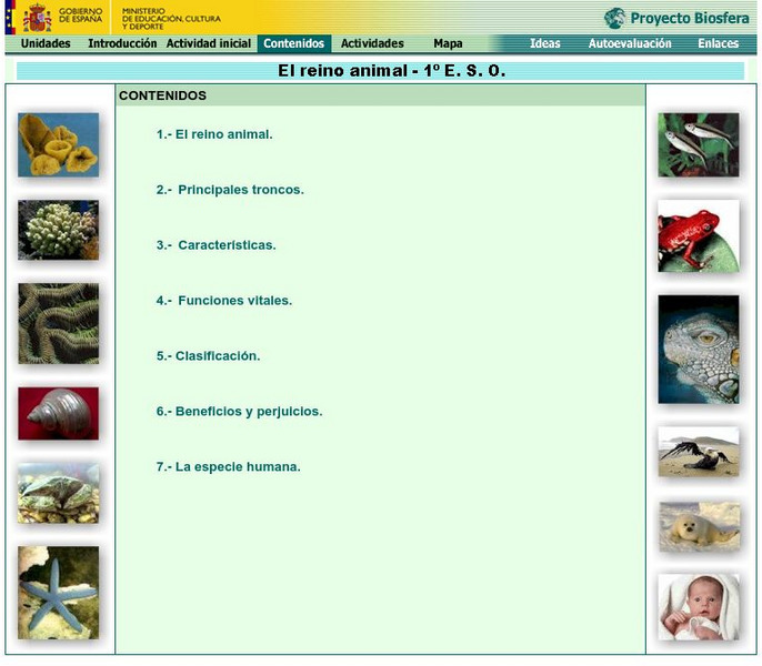 Ministerio De Educacion: El Reino Animal Handout Ministerio De Educacion: El Reino Animal Handout